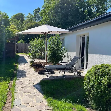 Blauer Blick Alvine Laboe